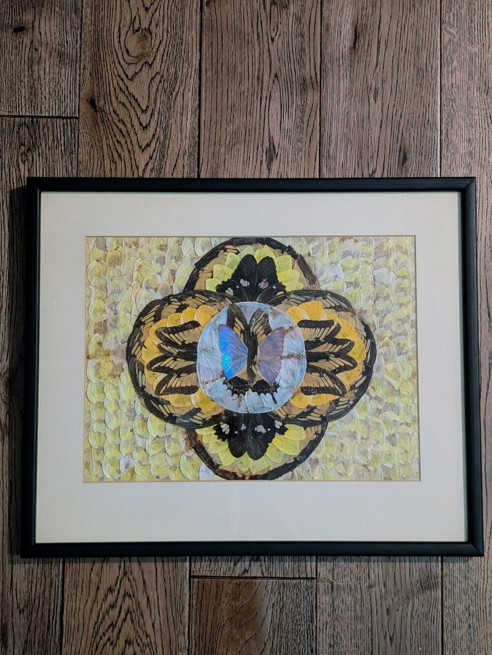 Vintage Real Butterfly Wing Moth Art Kaleidoscope Taxidermy Framed Wall Art